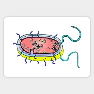 Prokariotic cell Magnet